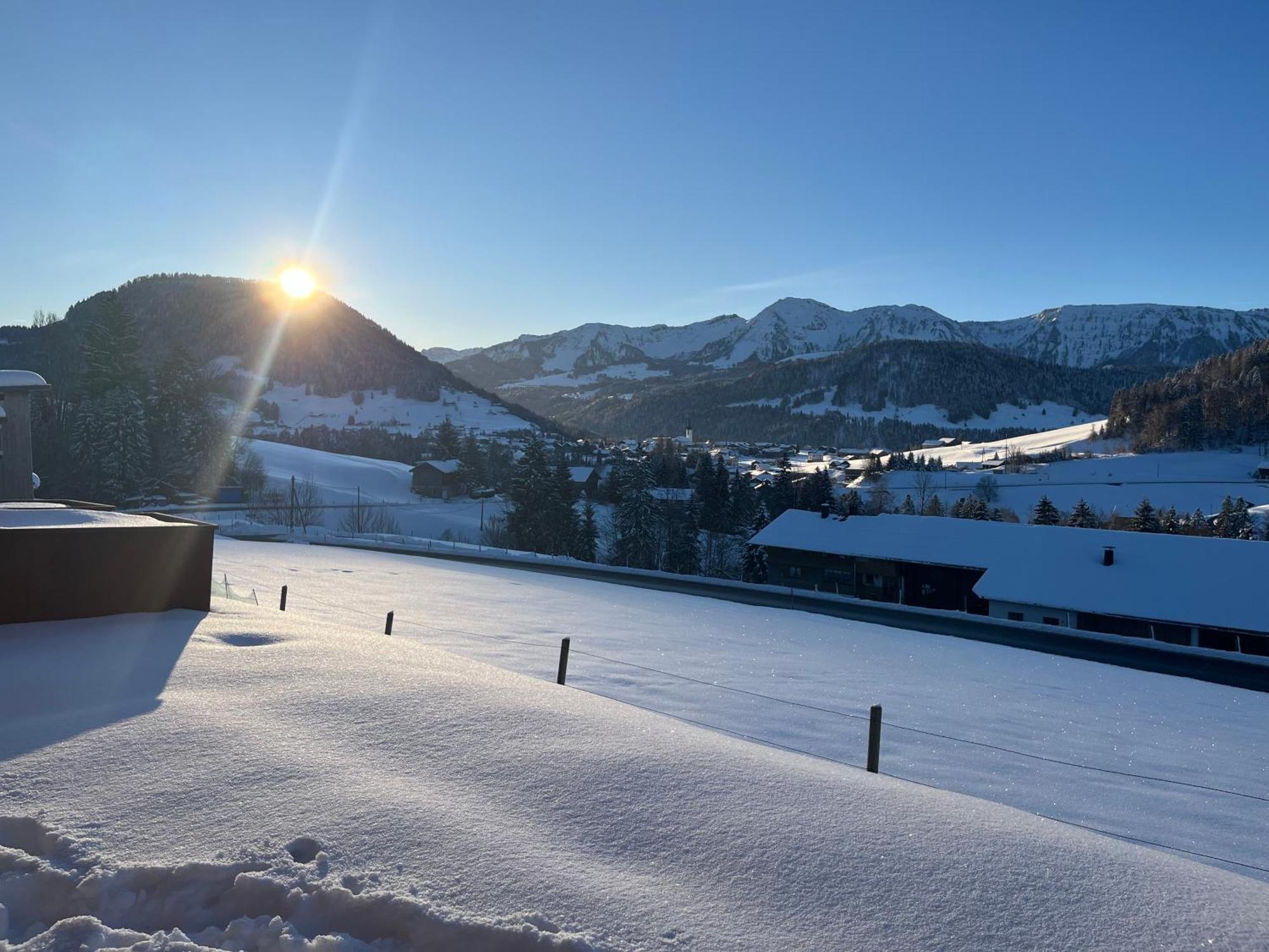 Appartement Schoenenbuehl